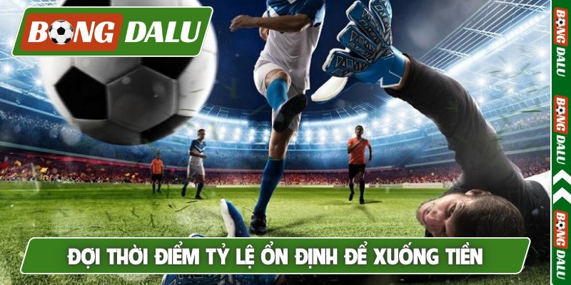 Đợi thời điểm tỷ lệ ổn định để xuống tiền