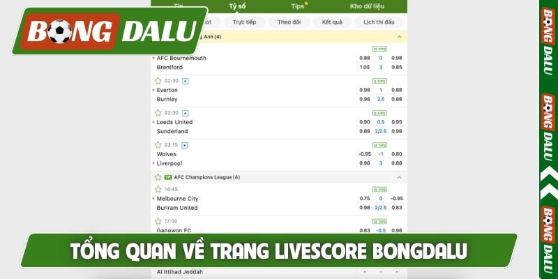Tổng quan về trang livescore Bongdalu