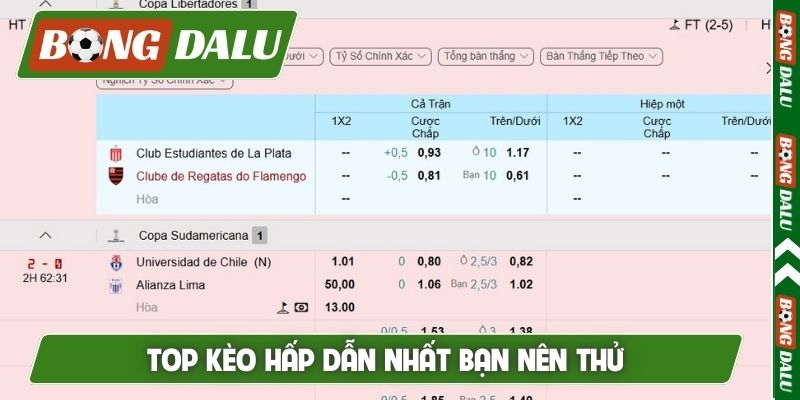 Top kèo hấp dẫn nhất bạn nên thử